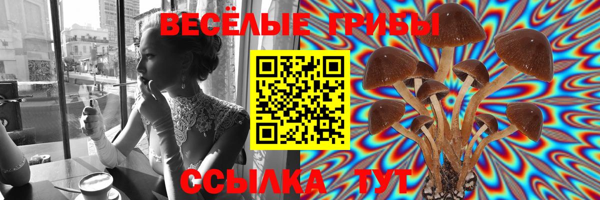 Долгопрудный  Галлюциногенные грибы мицелий  Псилоцибиновые грибы Psilocybine cubensis  Вход с VPN 
