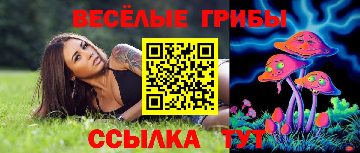 Галлюциногенные грибы мухоморы Долгопрудный
